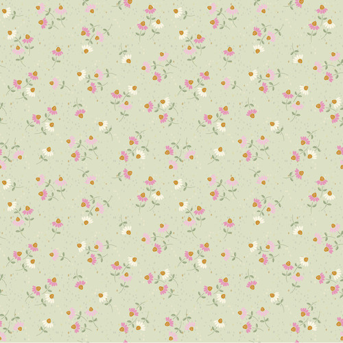 CONEFLOWER CORRAL Y4560 23