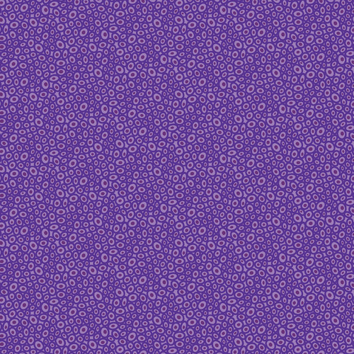 TRANSPARENCY 17021 66