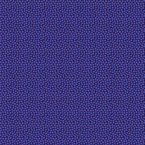 TRANSPARENCY 17026 69