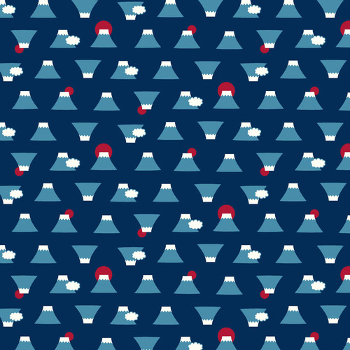 JAPANESE FUKUFUKU AP32702 1C DOBBY