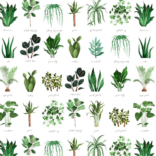 POTPOURRI NOVELTY DX 4445 4C 1