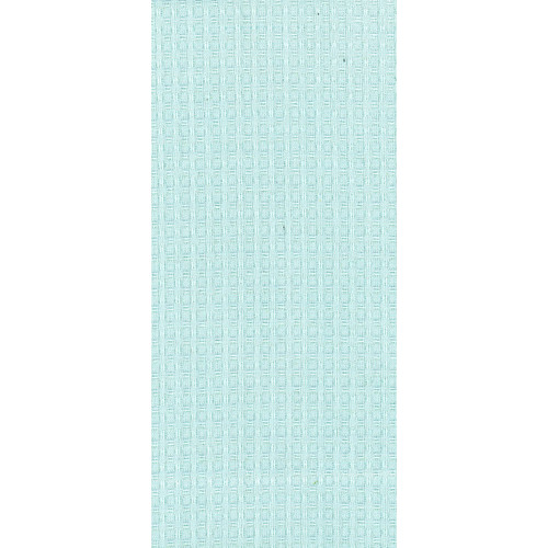 TEA TOWEL WAFFLE WEAVE MINT PK OF 6 EA