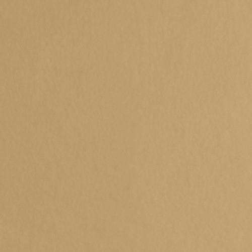 ANTI PILL FLEECE SOL CAMEL 60"