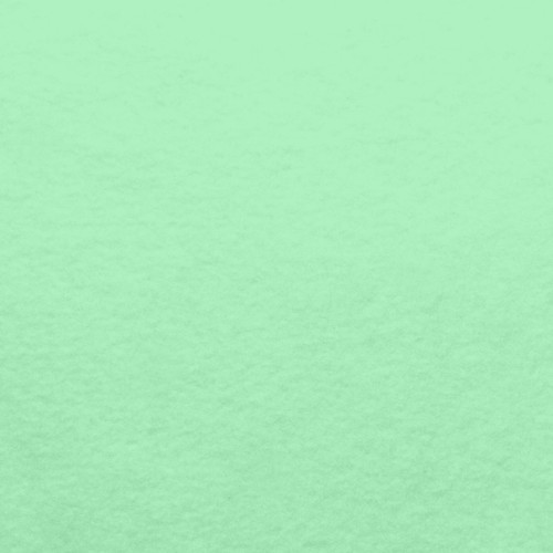 ANTI PILL FLEECE SOL MINT 60"