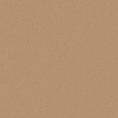 MYSTIQUE SATIN SOL LATTE 60"