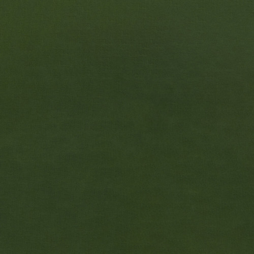 SILKY COTTON SOL IVY