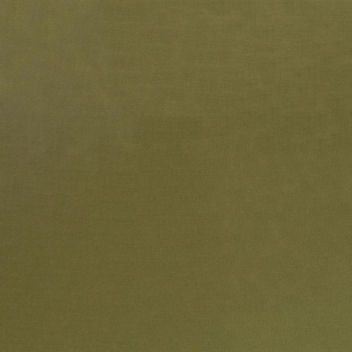 SILKY COTTON SOL MOSS