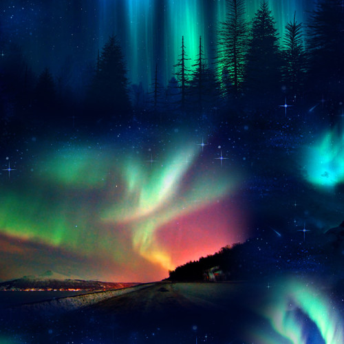 LANDSCAPE MEDLEY 502 BLACK