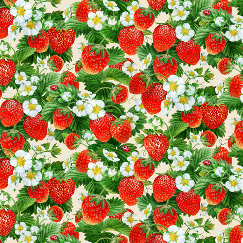 STRAWBERRY FIELDS 730 CREAM