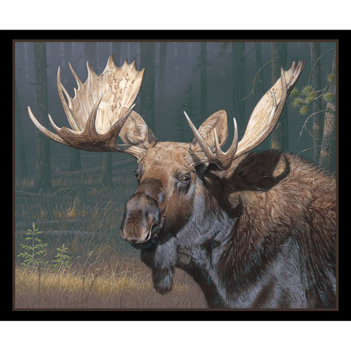 TOO CLOSE FOR COMFORT 9707 BLACK PNL