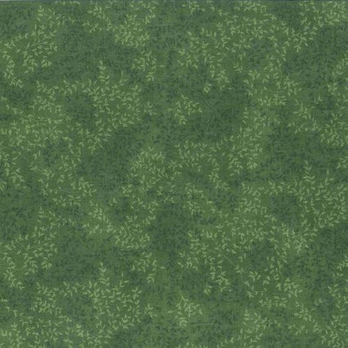 TONAL LEAF 224 H BASIC 2024