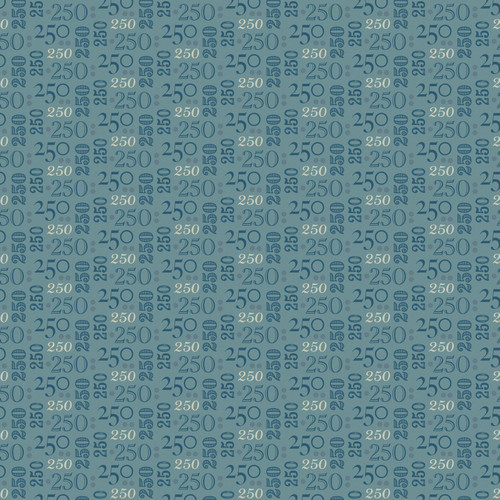 PRIMITIVE CLOTH PWSK096 BLUE