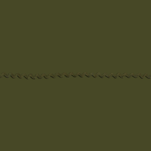 RIC RAC POLY .25" 36Y MOSS