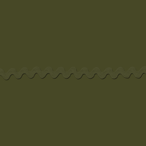 RIC RAC POLY .375"144Y MOSS