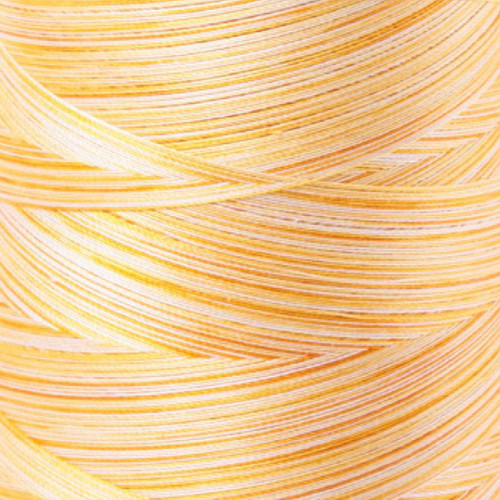 THREAD COTTON 40wt 3280yd 4658 3 PLY VARIEGATED