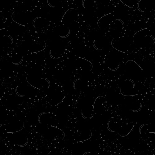 BACK IN BLACK 1618 99B