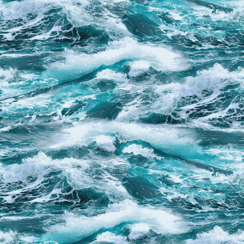 COASTAL GUARDIANS 2193 70 DIGITAL