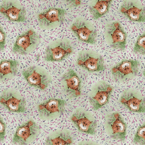 VALLEY VIEW 2254 64 DIGITAL