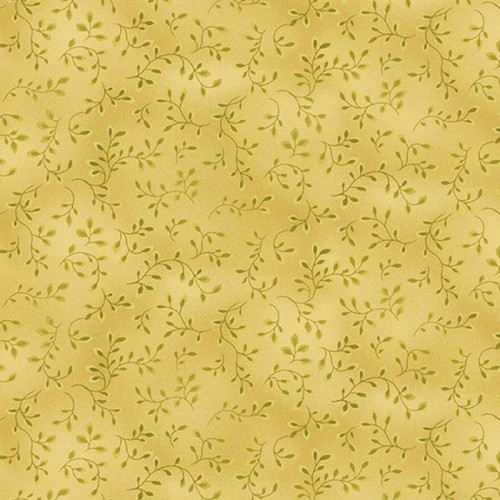 FOLIO 7755 64