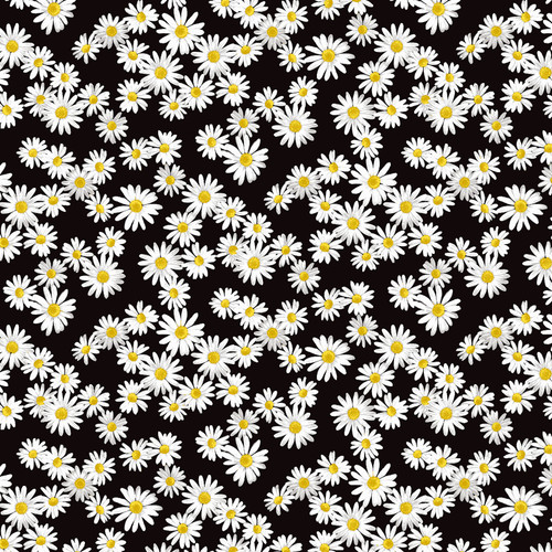 DAISY DANCE 108" 12457W 12 BLACK