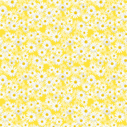 DAISY DANCE 108" 12457W 33 YELLOW