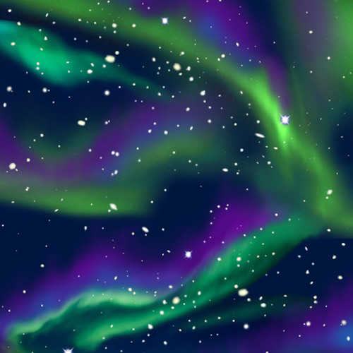 WINTER FLEECE PRINTS 46416 1 60"