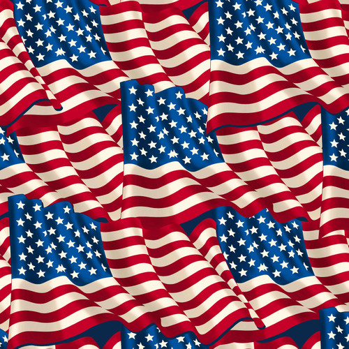 WINTER FLEECE PRINTS 49550 1 60"