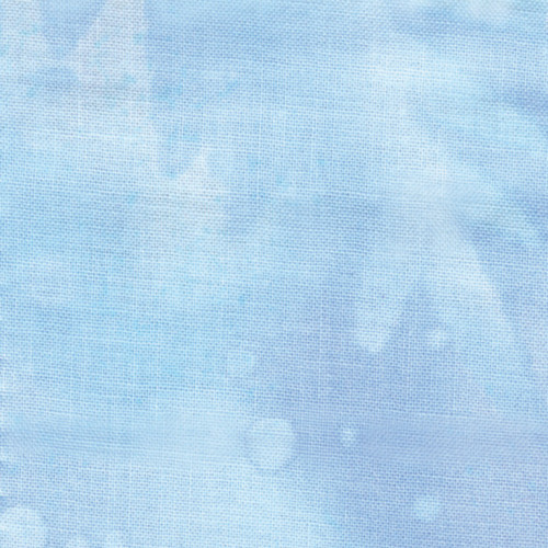 FOSSIL FERN 00528 0XB SKY