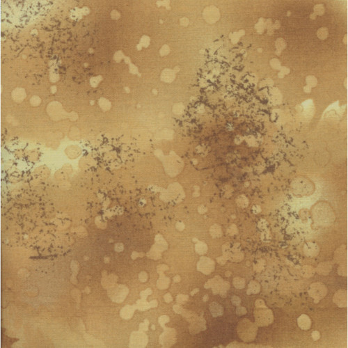 FOSSIL FERN 00528 21B TAFFY