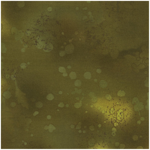 FOSSIL FERN 00528 60B GREEK OLIVE