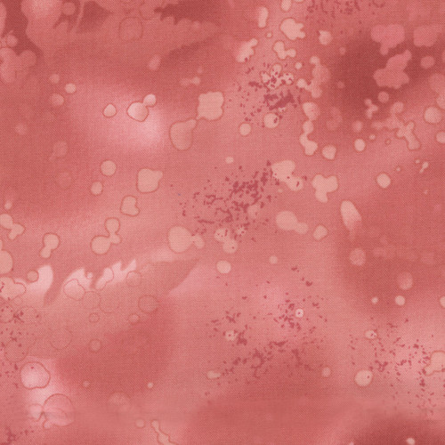 FOSSIL FERN 00528 IIB PAINTED SUNSET