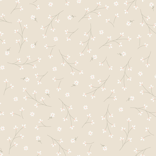 KIMBERBELL BASICS 8260 E