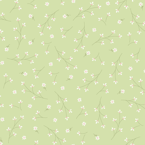 KIMBERBELL BASICS 8260 G