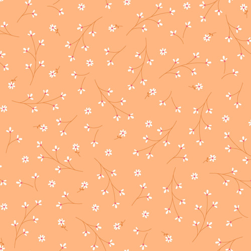 KIMBERBELL BASICS 8260 O