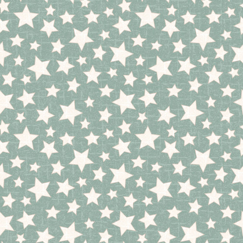 SNOWTOP MOUNTAIN FLN F11165 Q