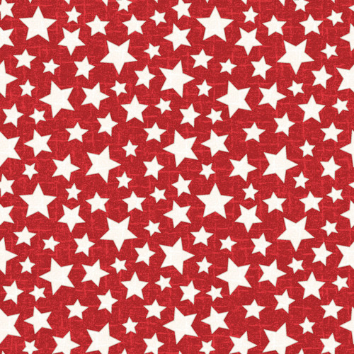 SNOWTOP MOUNTAIN FLN F11165 R