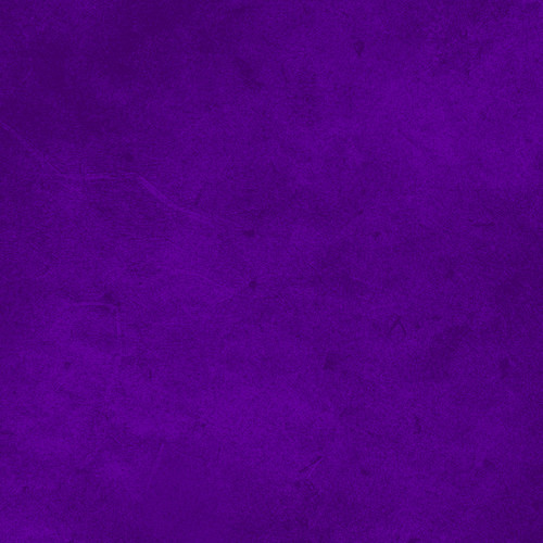 SUEDE BRIGHTS SUEB 300 C