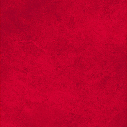 SUEDE BRIGHTS SUEB 300 R