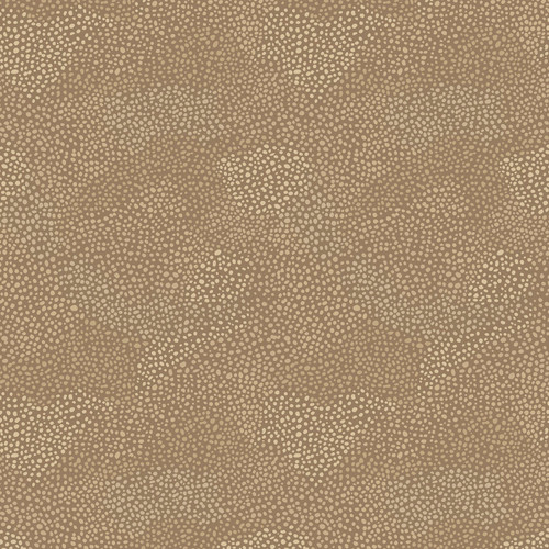 WHIMSY II WHM2 5689 LZ