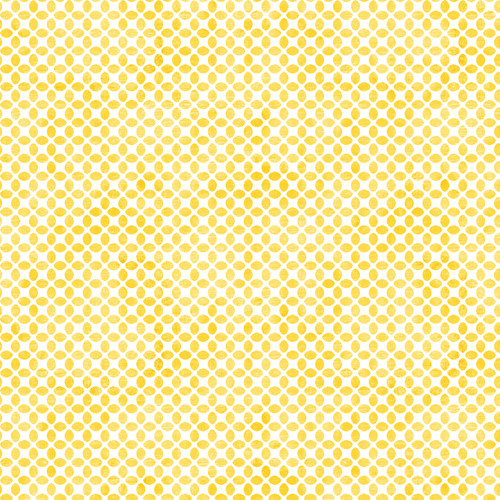 BEAUTIFUL HARVEST 16214 31 DIGITAL