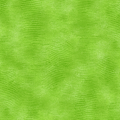 EQUIPOISE 120 20024 LIME