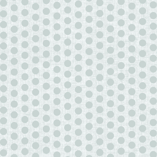 BACKINGS BASICS 108" 16387W 82 DIGITAL