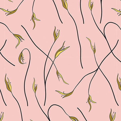 COCKATOOS PEACHES 120 209333