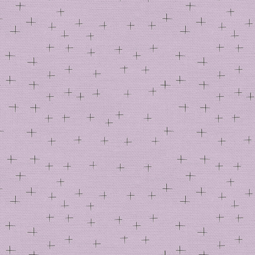 ROAD TRIP 120 21736 PURPLE