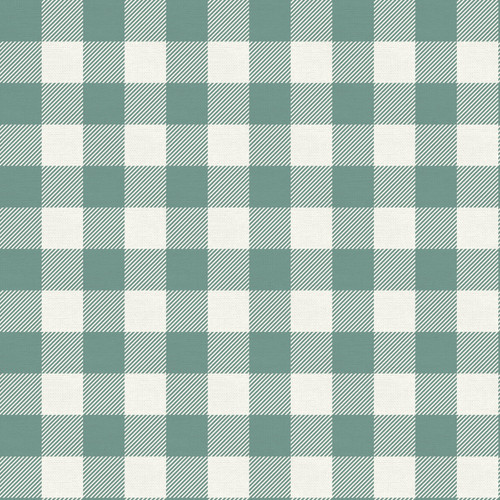 BUFFALO CHECK 120 22036 BUFFALO MINT