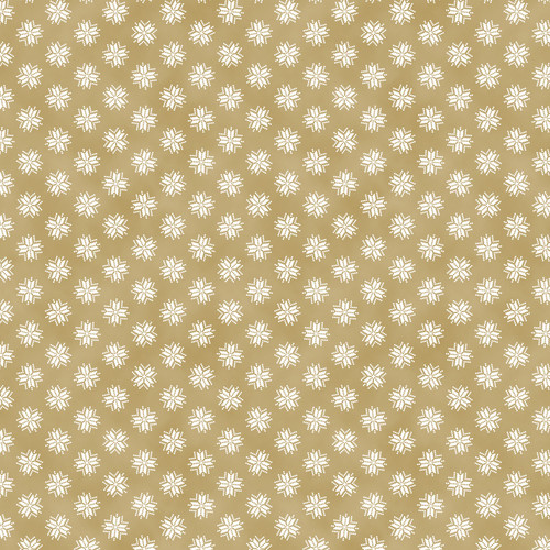 WHAT A CATCH III 120 26327 HOLIDAY