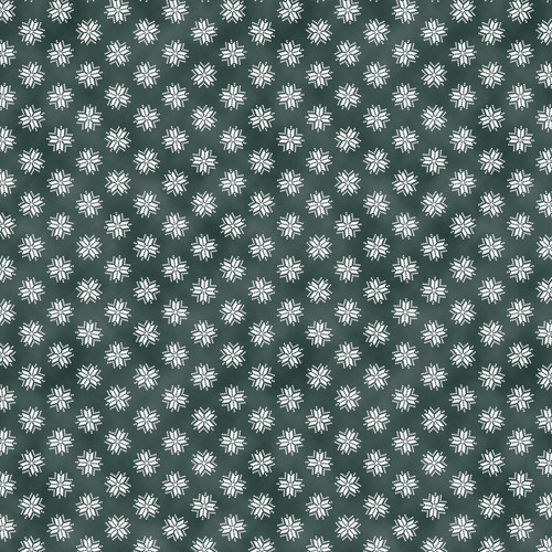 WHAT A CATCH III 120 26343 HOLIDAY