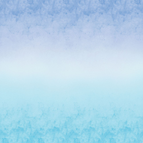 CHALK OMBRE 16602 54