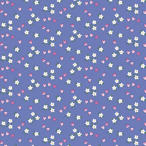 CIAO BELLA 16616 64 DIGITAL