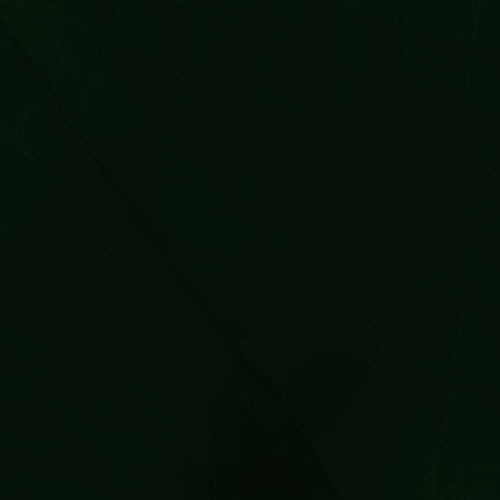 BROADCLOTH QUILTS SOL 216 34 B2B DK FOREST